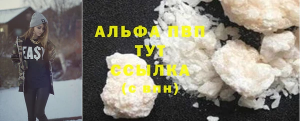 шишки Алзамай