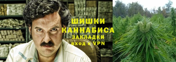 шишки Алзамай