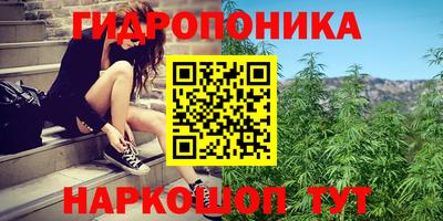 Альфа ПВП Гусев