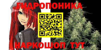амф Гусь-Хрустальный