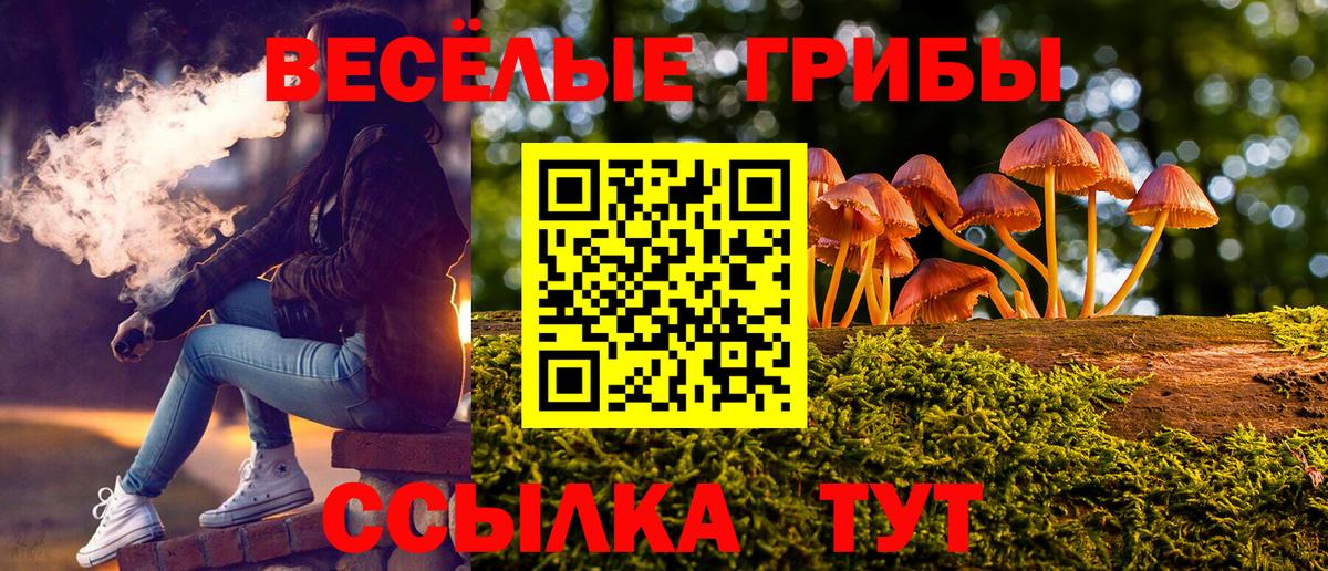 Псилоцибиновые грибы мухоморы  Вход с VPN  Луга 